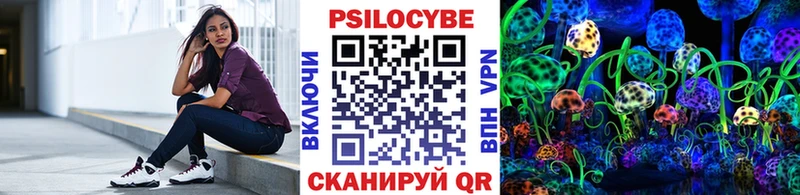 Купить где  Озёрск  Галлюциногенные грибы MAGIC MUSHROOMS 