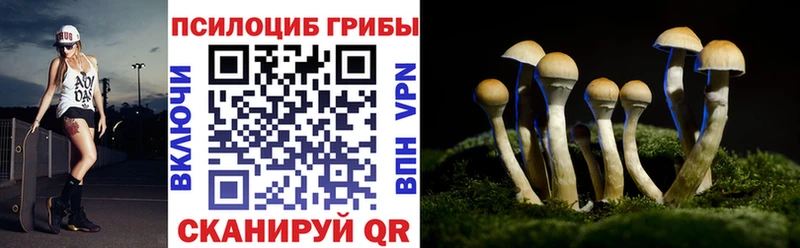 Галлюциногенные грибы GOLDEN TEACHER Озёрск